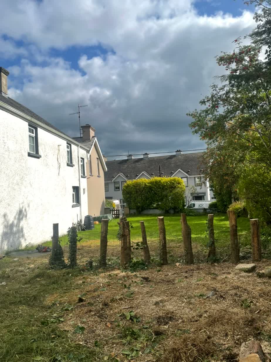 Cleared garden after hedge removal